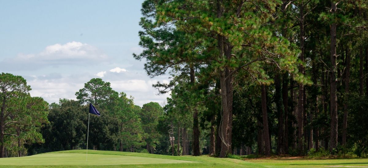 |person golfing|people golfing at Quail Heights|||