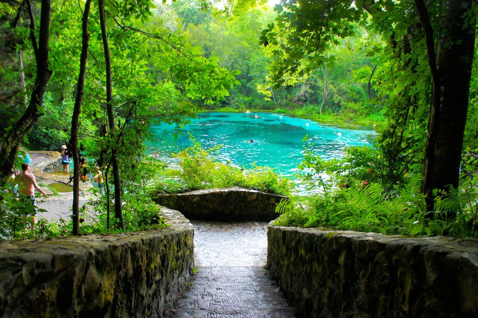 Escape to Serenity: A Dive into Ichetucknee Springs State Park