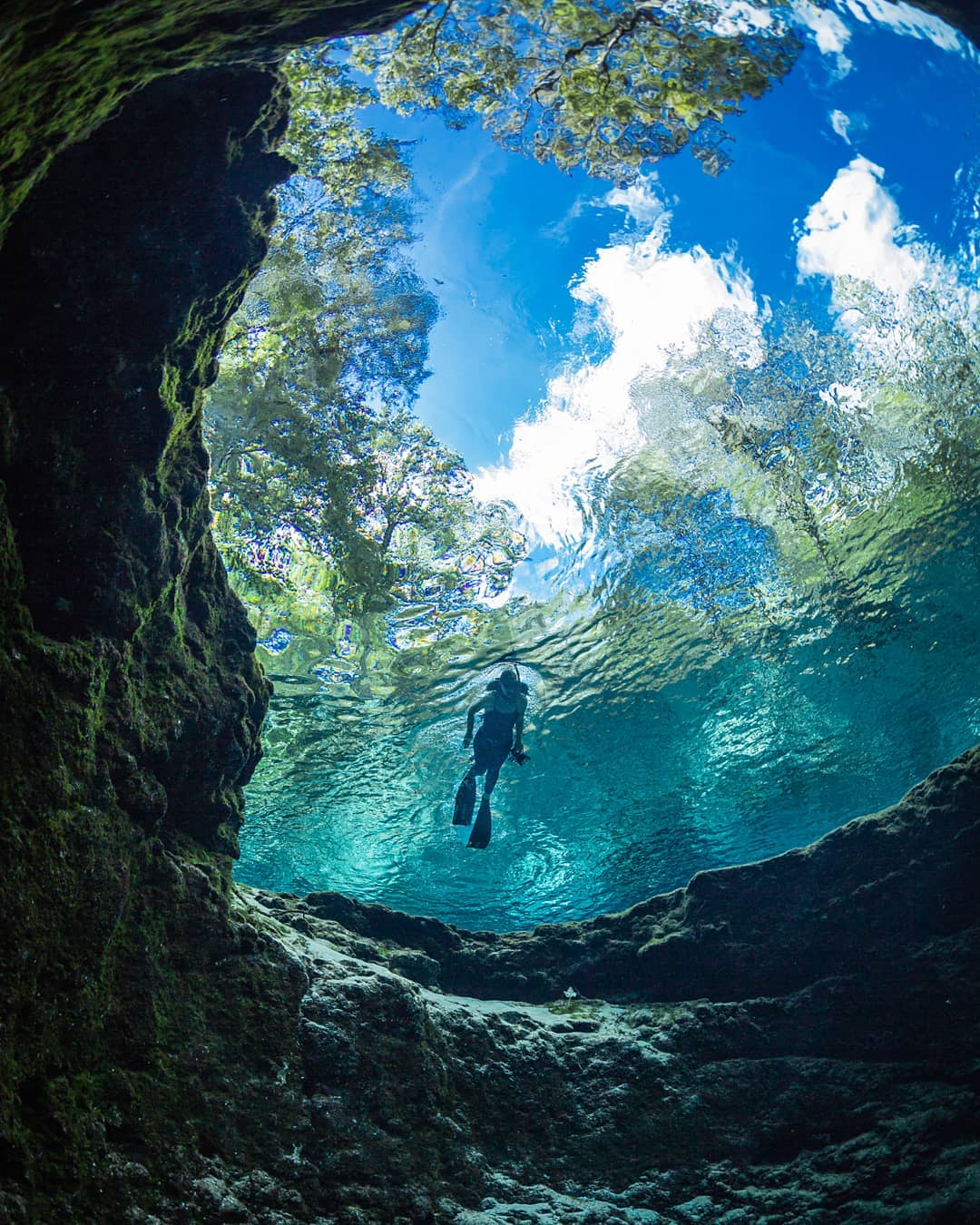 Tips For Ginnie Springs: A Perfect Florida Oasis - Florida Trippers