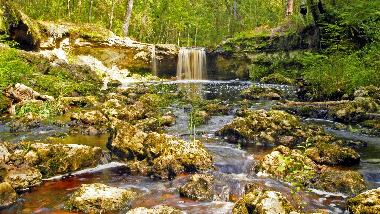 Falling Creek Falls, Florida - Lake City