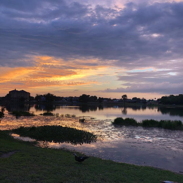 Make A Splash on the Water