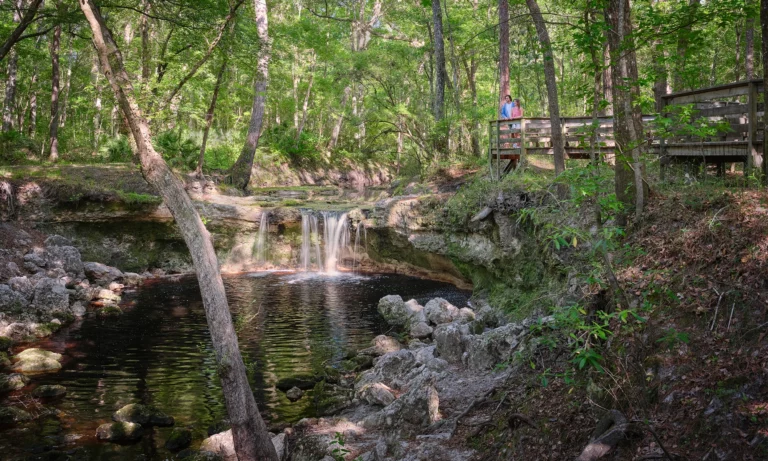 Falling Creek Falls