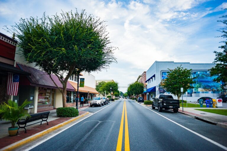 |view of downtown Lake City FL|Downtown Lake City|