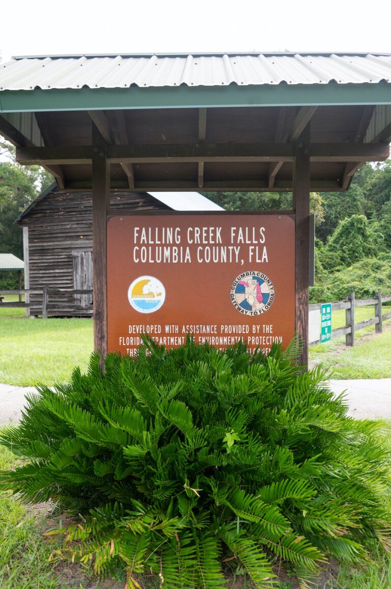 |Falling Creek Falls