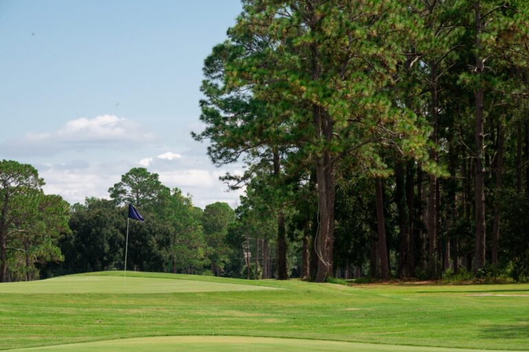 |person golfing|people golfing at Quail Heights|||