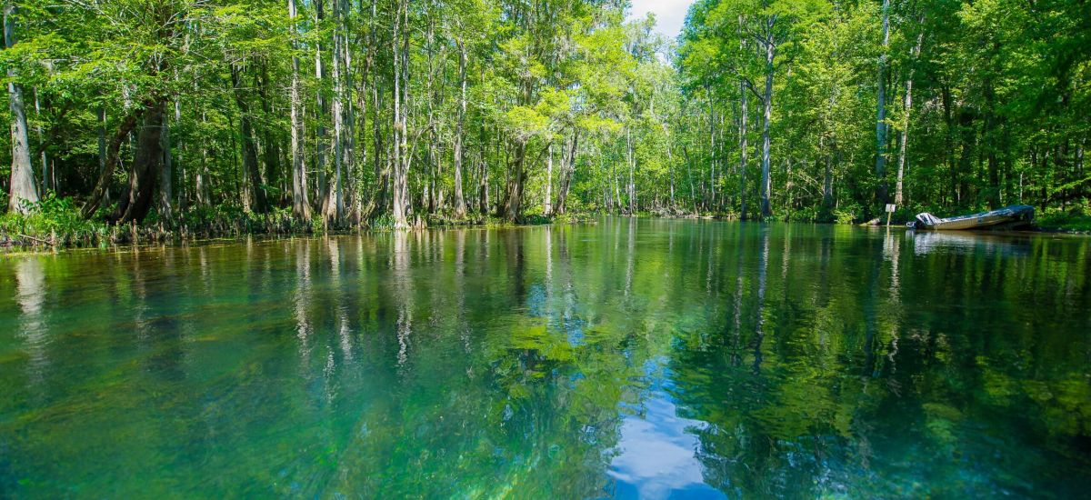|a kayaker in Ichetucknee Springs|people paddleboarding on ichetucknee springs