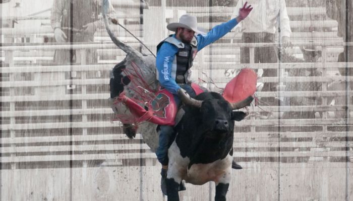 Florida Gateway Pro Rodeo