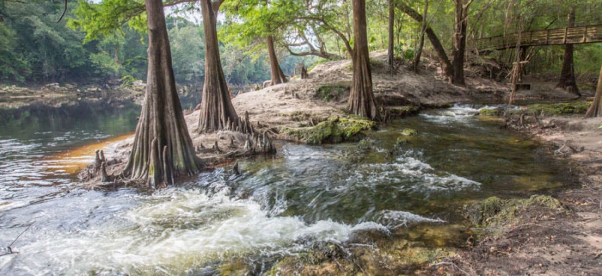 Suwannee River State Park||Suwannee River State Park cabin