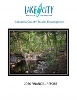 Florida financial report image