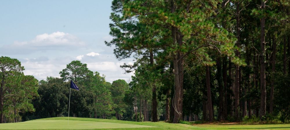 |person golfing|people golfing at Quail Heights|||