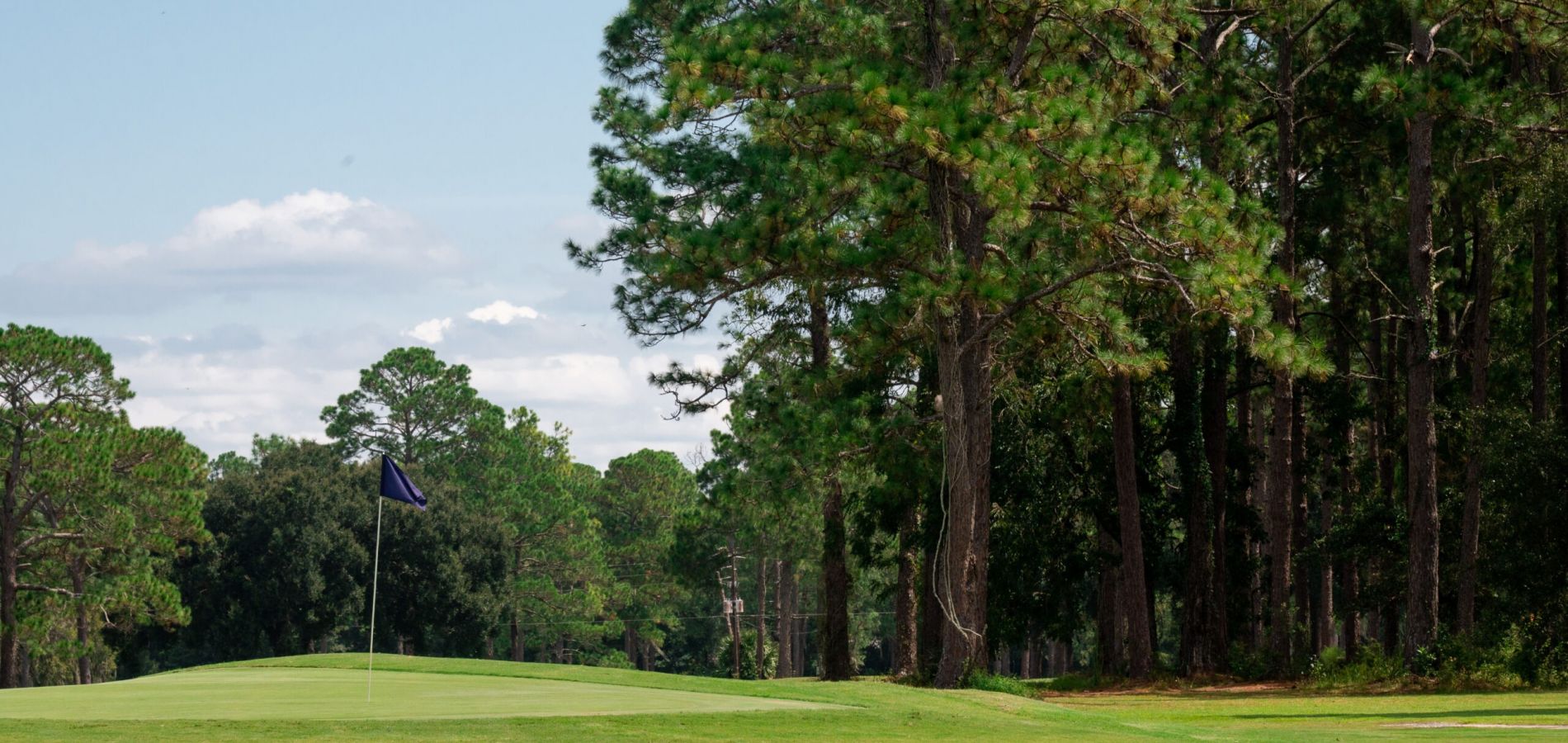 |person golfing|people golfing at Quail Heights|||