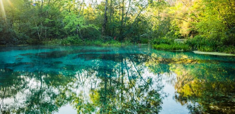 Ichetucknee_Springs_State_Park