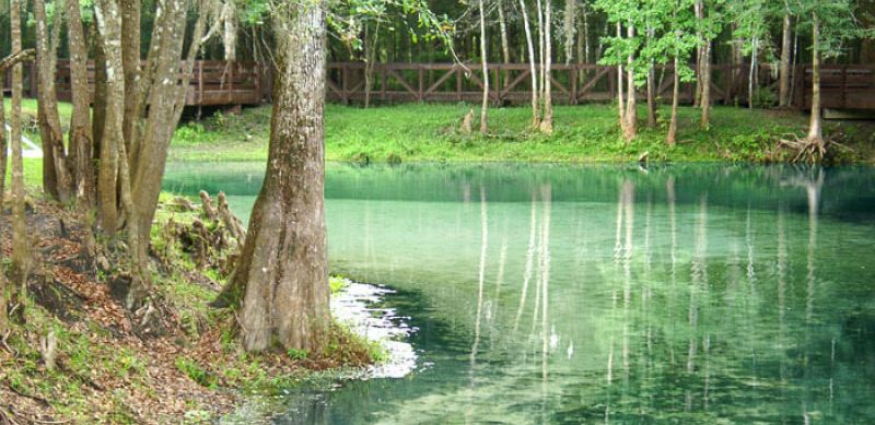 Poe Springs and Santa Fe River